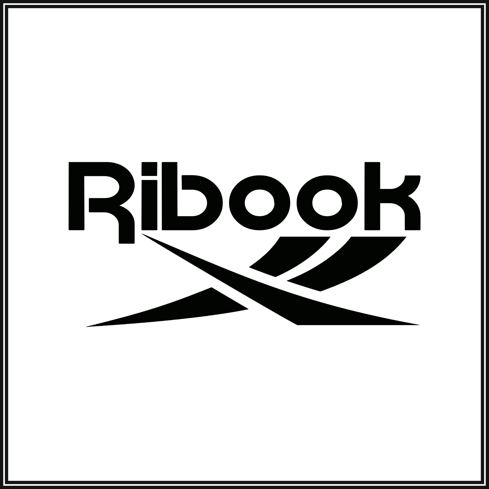 Ribook